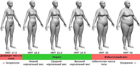 Силуэты женщин с разными ИМТ: дефицит массы тела, норма, избыточный вес.
