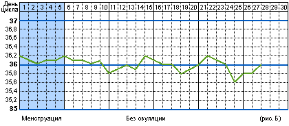 График базальной температуры при отсутствии овуляции.